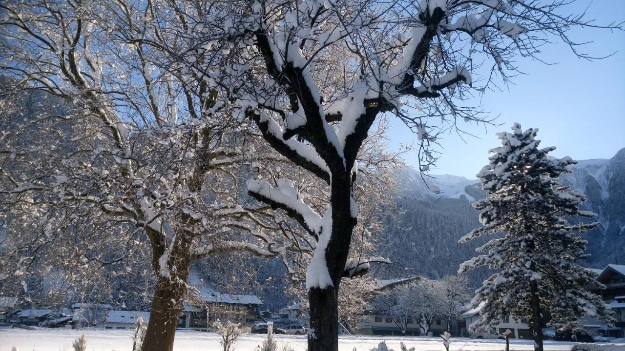 מאיירהופן Hotel Garni Birkenhof מראה חיצוני תמונה